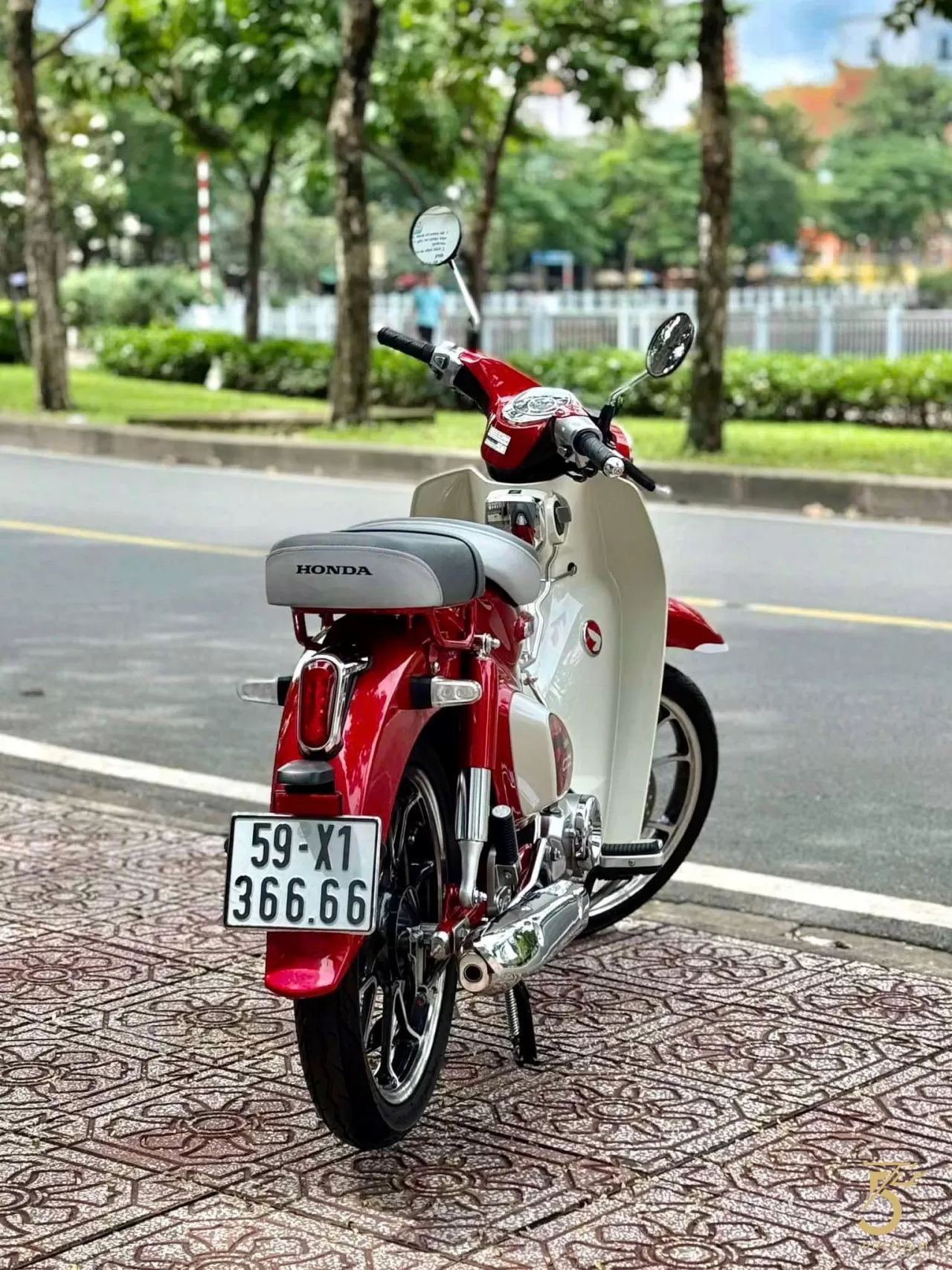 SuperCub125 T12/2023